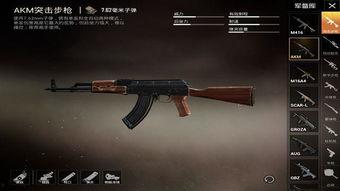 和平精英新武器最新爆料,神秘性能引发热议，玩家期待度飙升！  第2张